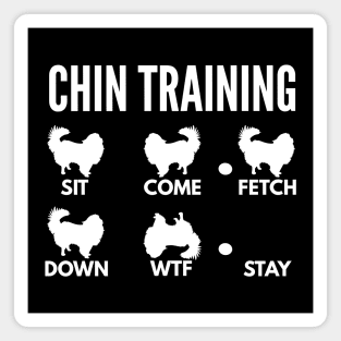 Chin Training Japanese Chin Tricks Magnet